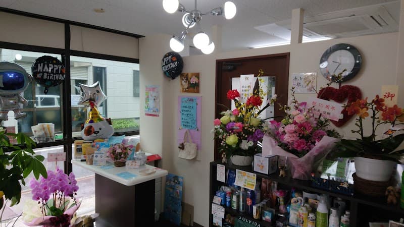 Dog Salon ウィンクル 茨木市 ペット美容室の写真