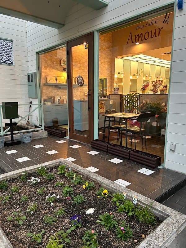 ドッグサロン アムール dog salon Amourの写真2