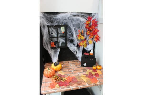 PET-SPA白金プラチナ通り店の写真3