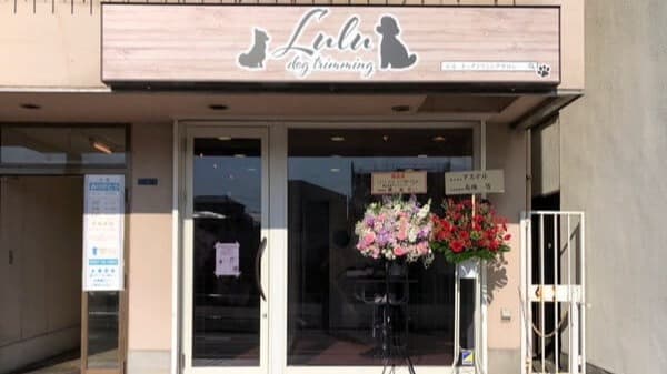 Lulu dog trimming 大船の写真