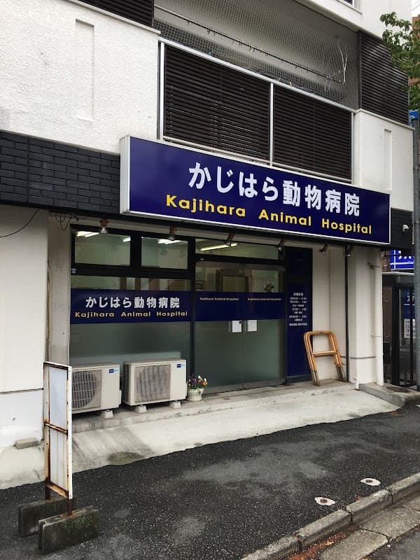 かじはら動物病院の写真
