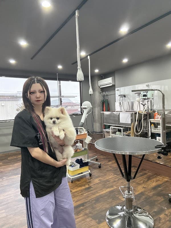 Pet Salon Vanda (ペットサロン バンダ)の写真2