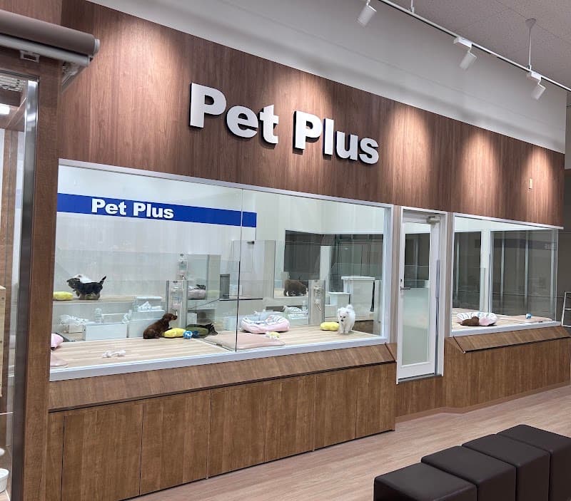 ペットプラス 盛岡南店の写真