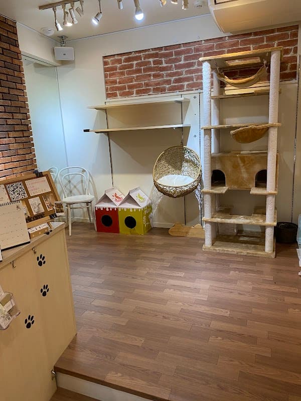 PetSalon ビスケットの写真2