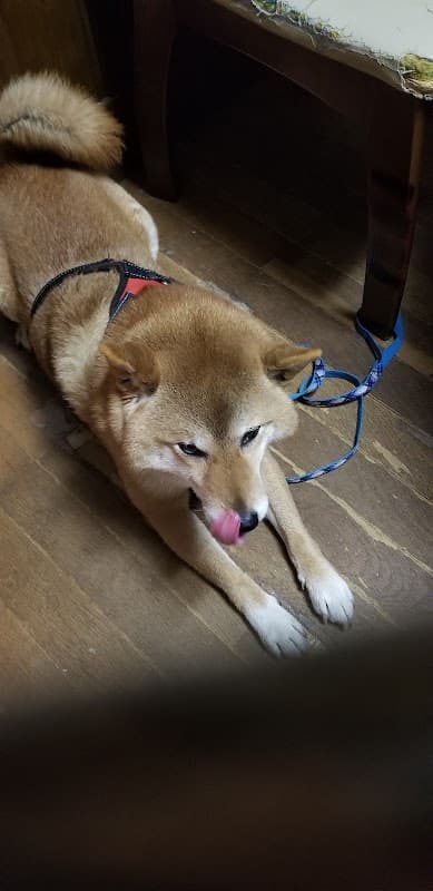 ダクタリ動物病院の写真