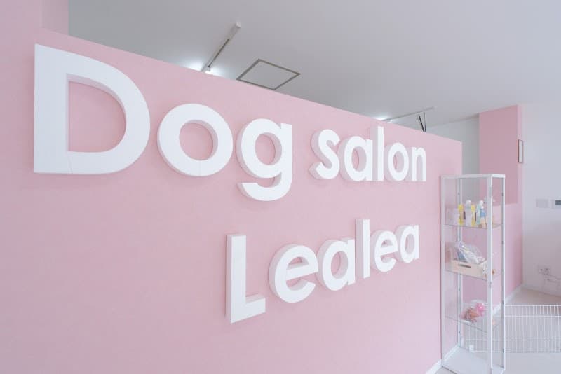 Dog Salon Lea lea(レアレア)の写真