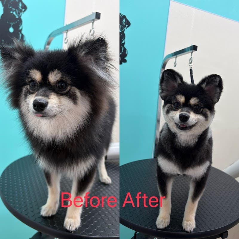 LOCO PET 高柳店の写真