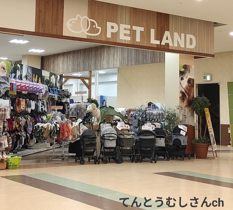 ニシムタ 谷山店 エヌズペット館の写真
