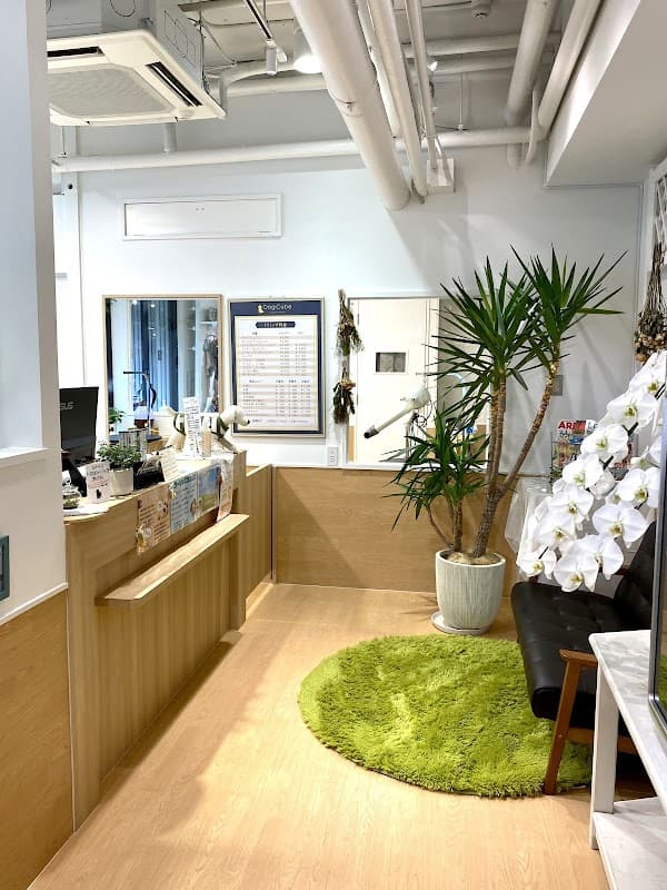 Dog Cube byサロン・ド・フレンディ盛岡店の写真3