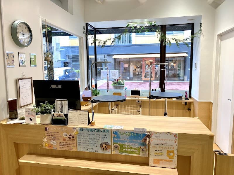 Dog Cube byサロン・ド・フレンディ盛岡店の写真4