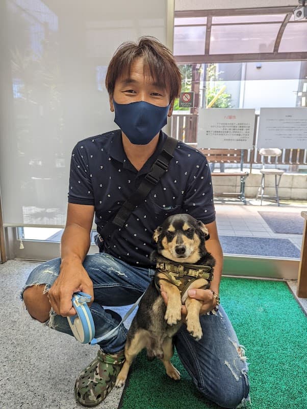 酒井動物クリニック 併設ペット美容室の写真