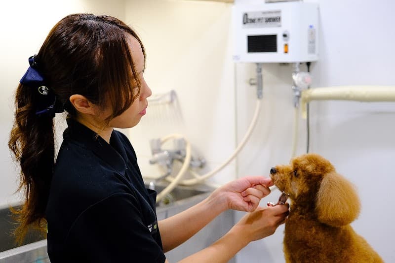 Dyplus NISHIAZABU(ディプラス西麻布)の写真2
