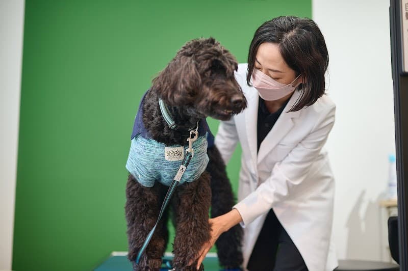 Dyplus NISHIAZABU(ディプラス西麻布)の写真4