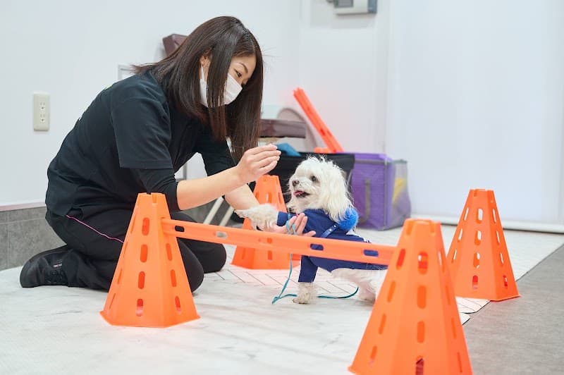 Dyplus NISHIAZABU(ディプラス西麻布)の写真5