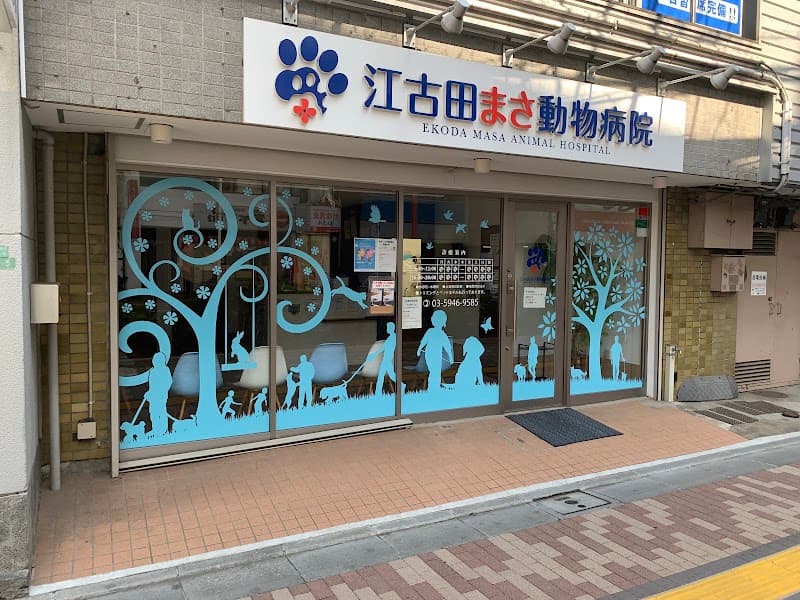 江古田まさ動物病院の写真