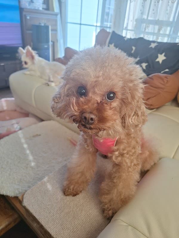 美しが丘動物病院の写真