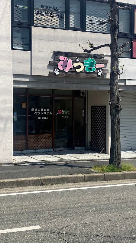 愛犬の美容室みっきーの写真