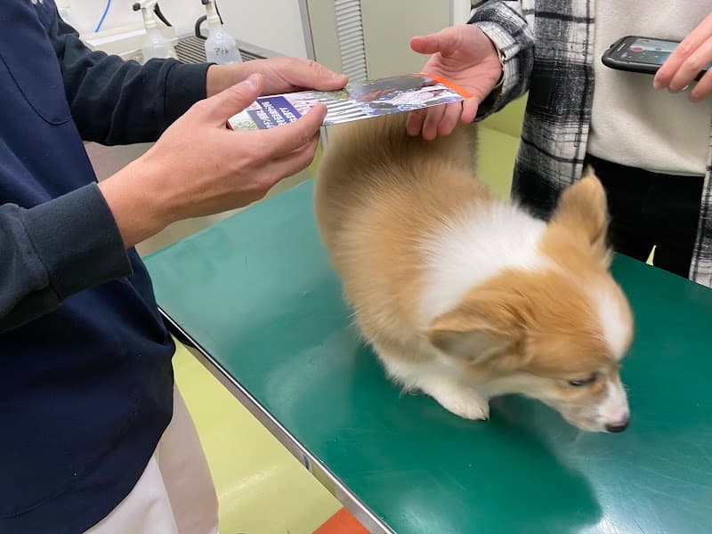 西川動物病院の写真
