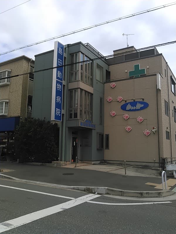 島田動物病院の写真