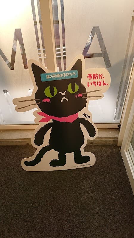 アメディオ動物病院の写真