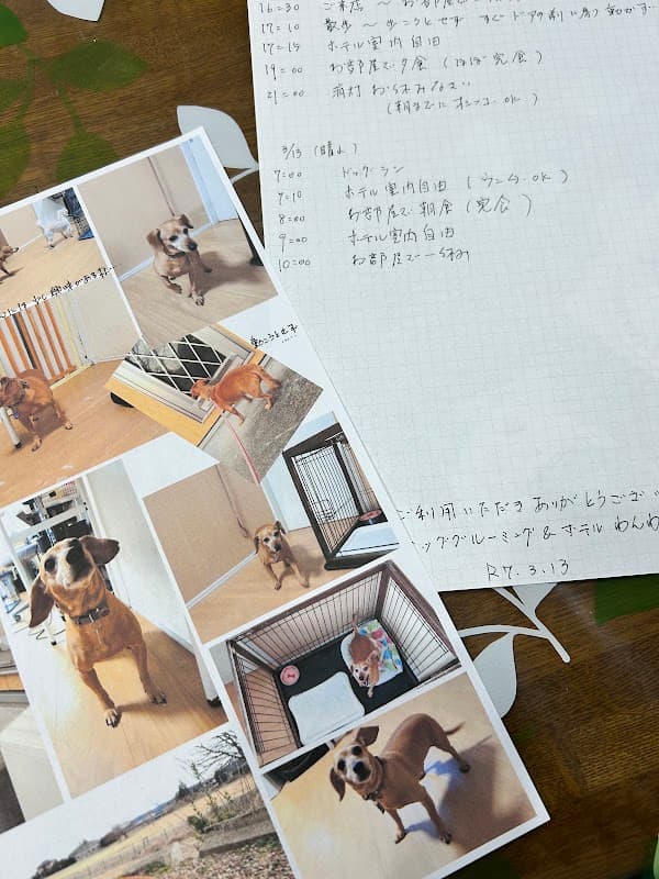 ドッググルーミング&ホテルわんわん倶楽部の写真