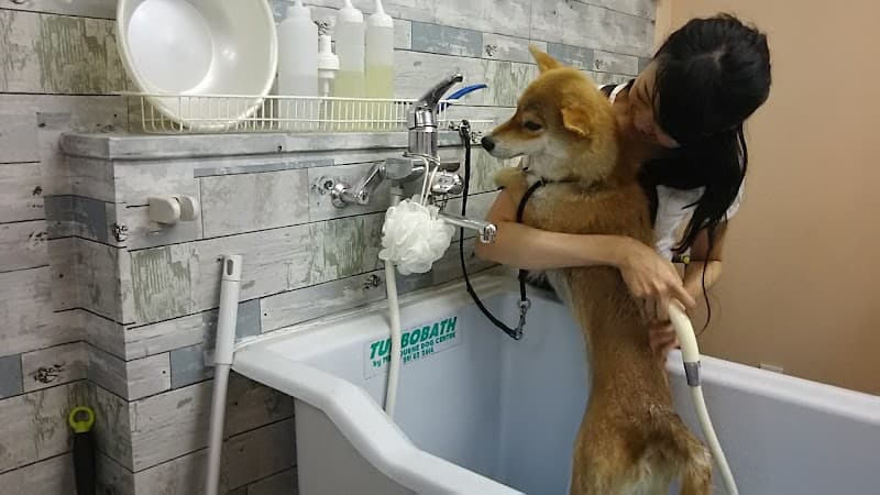 BLOOM犬の皮膚を育てるサロンの写真1