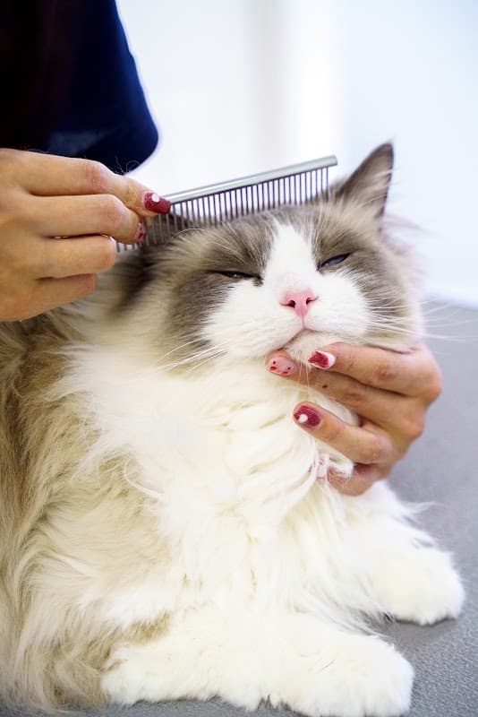 Petsalon J&Cの写真3