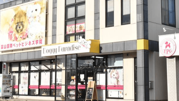 Doggy Paradise ドギーパラダイスの写真