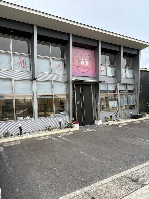 dog salon 海のはじまりの写真