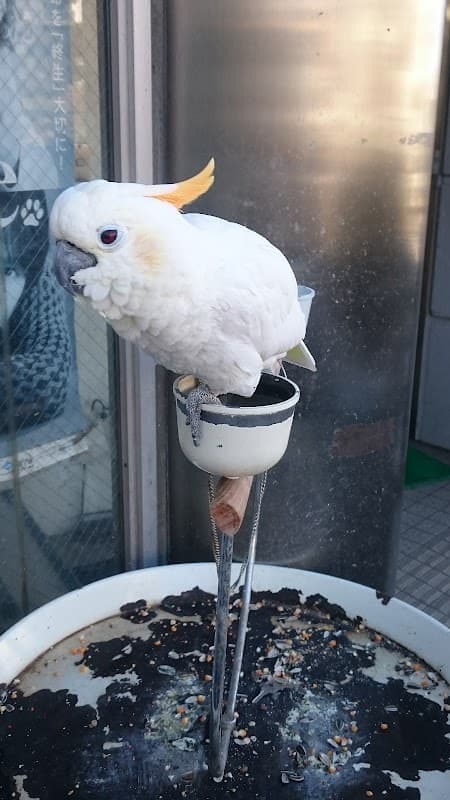 野田動物病院の写真