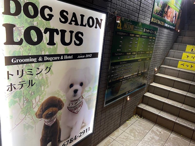 DOGSALON LOTUSの写真