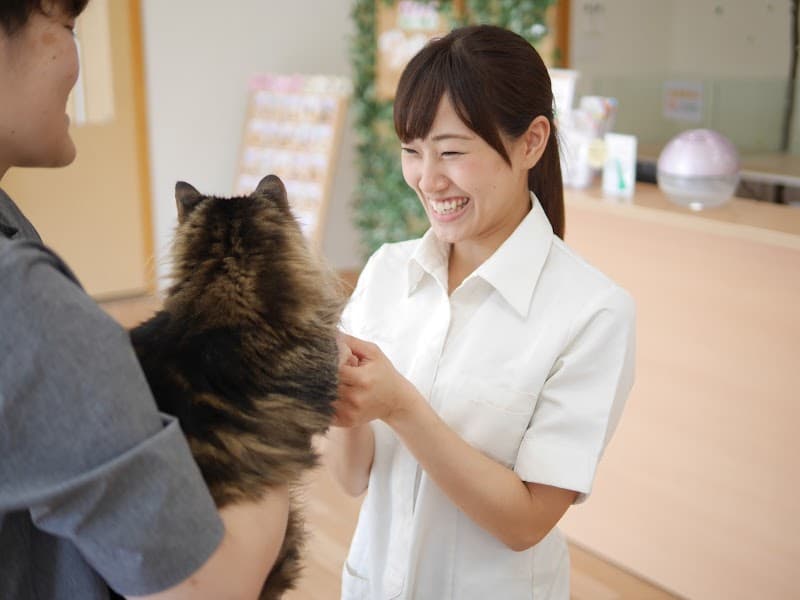 トリミングサロンアラモード 本店の写真