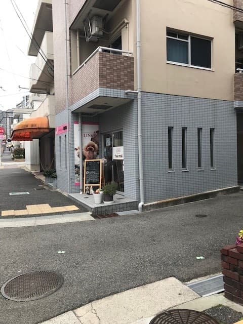 トリミングサロン リノの写真