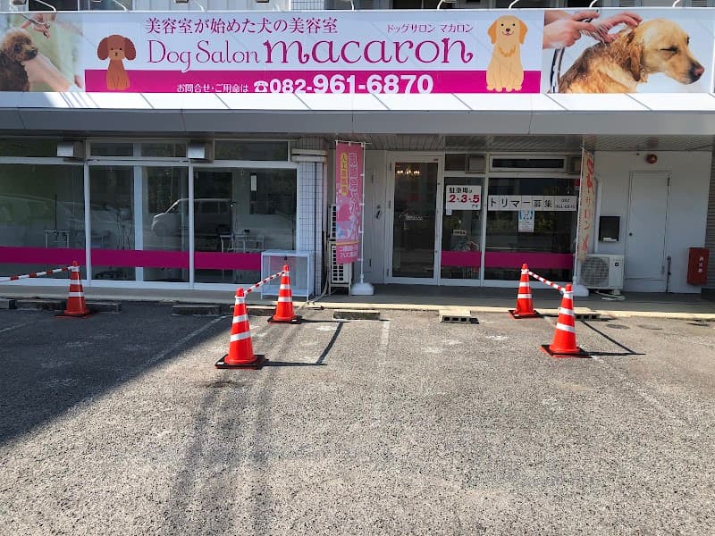 Dogsalonmacaronの写真1
