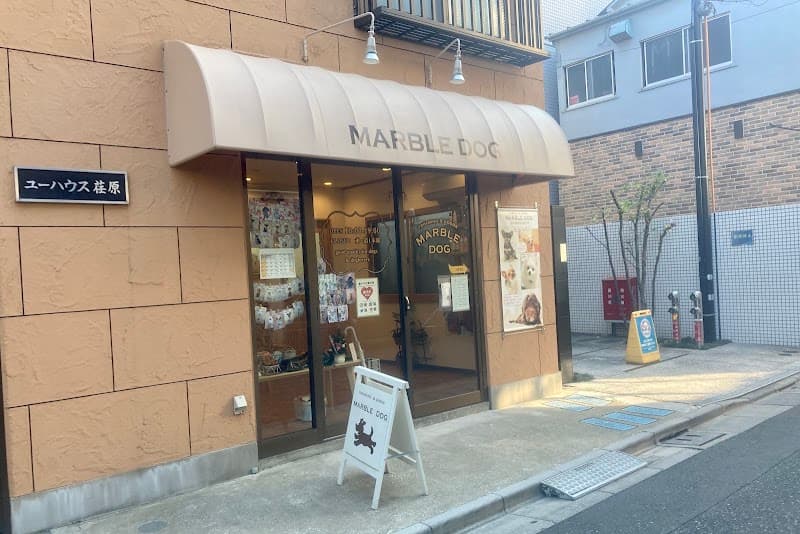 Marble Dog(マーブルドッグ)の写真