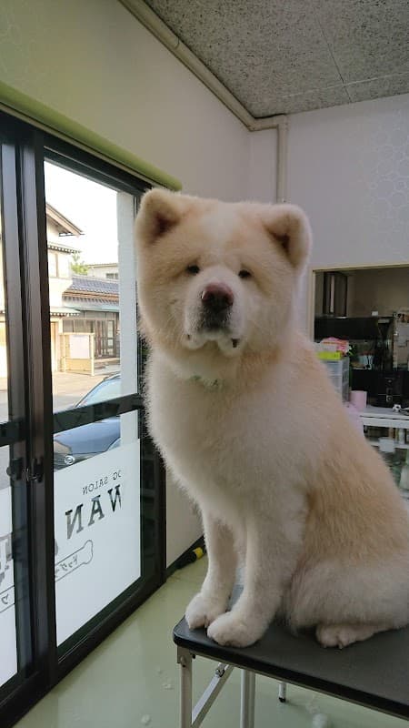 DOG SALON WANPEACEの写真1