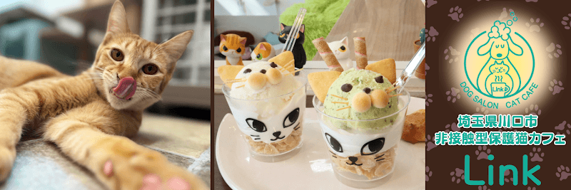 ドッグサロン・保護猫カフェ Linkの写真
