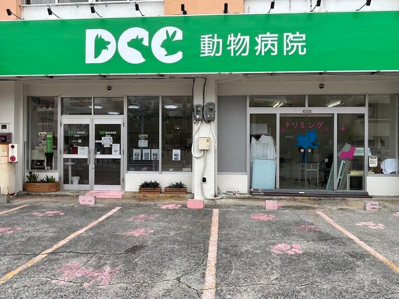 DCC動物病院 沖縄上間の写真