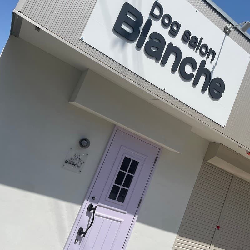 Dogsalon Blancheの写真