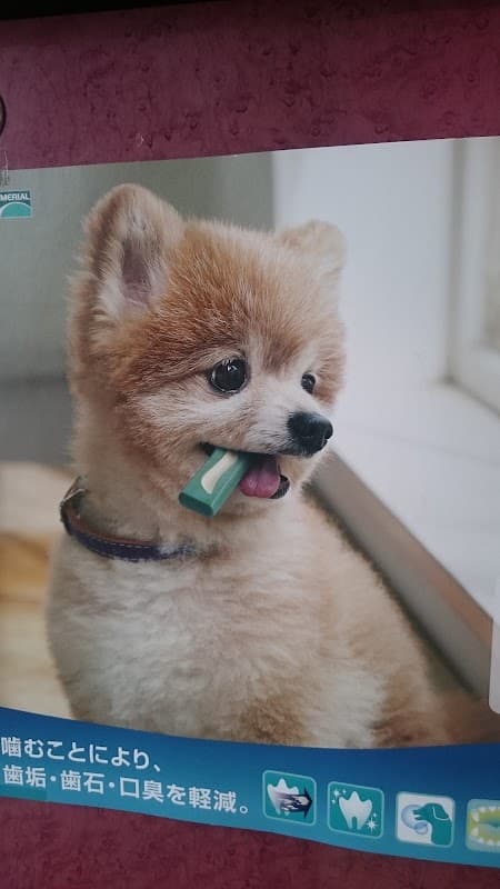 愛川どうぶつ診療センターの写真