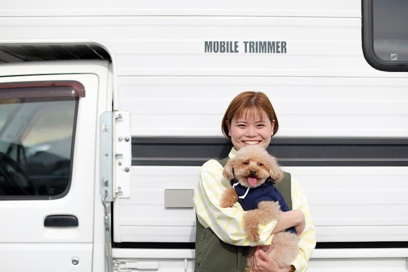 出張トリミング もーりーの写真