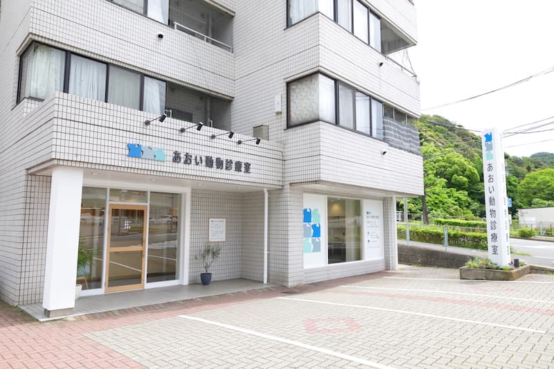 あおい動物診療室の写真