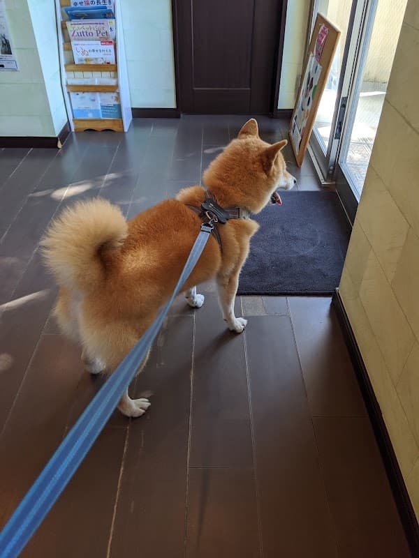 すが犬猫病院の写真