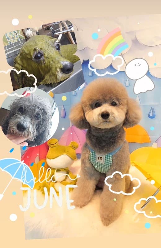 DogSalon BASE ドッグサロンベースの写真2