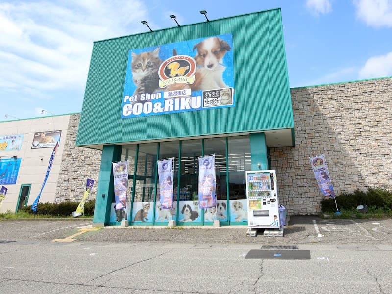 ペットショップCoo&RIKU 新潟東店の写真