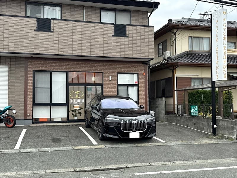 きらてとあにまるほすぴたるの写真
