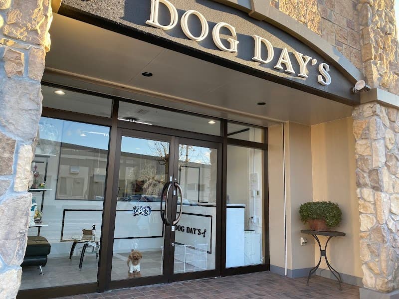 DOGDAY'Sの写真1