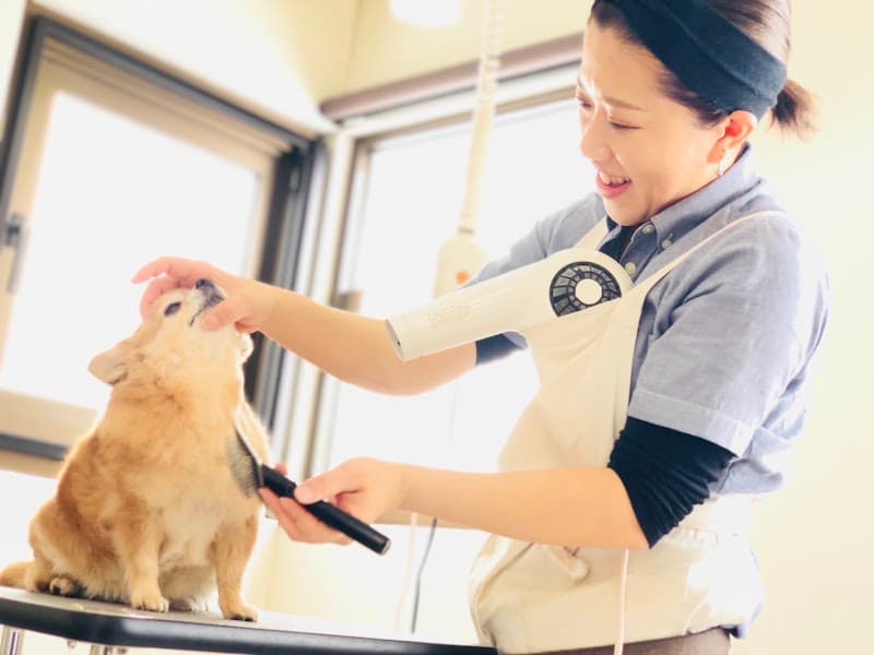 DogsalonAYAの写真
