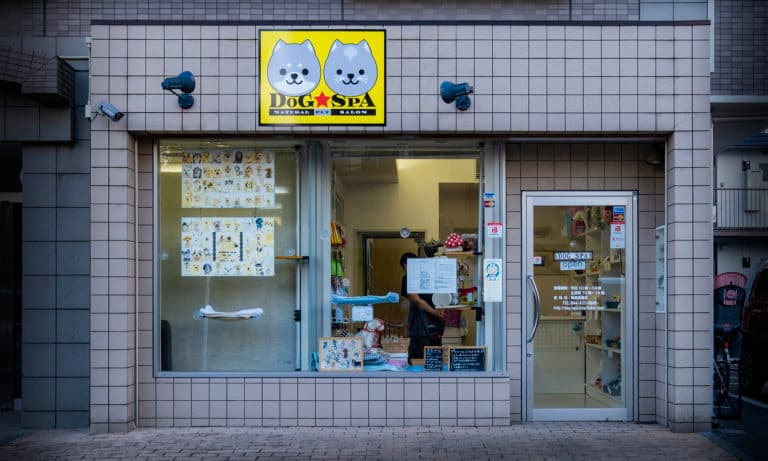 NATURAL PET SALON dog&spaの写真