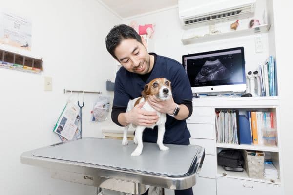 古谷動物病院の写真